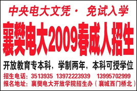 數(shù)字廣告設(shè)計 在《襄樊晚報》數(shù)字報與電子版中綻放品牌力量